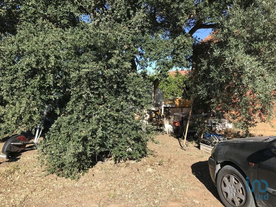 Terreno para Venda em Rio de Couros e Casal dos Bernardos Foto 4