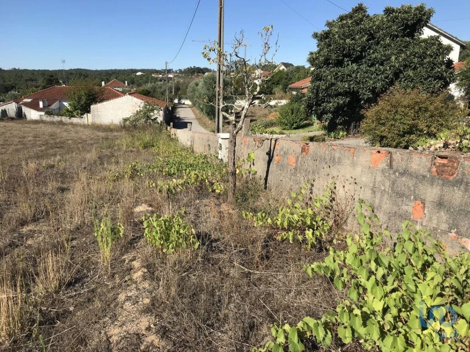 Terreno para Venda em Rio de Couros e Casal dos Bernardos Foto 2