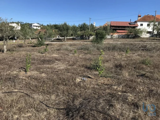 Terreno para Venda em Rio de Couros e Casal dos Bernardos Foto 3