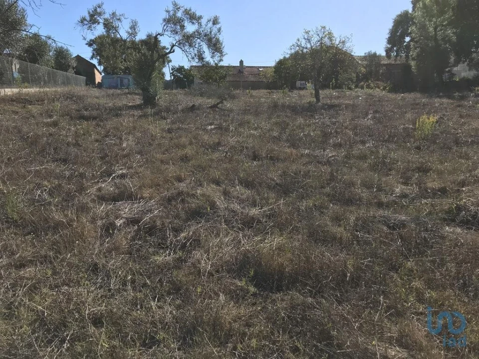 Terreno para Venda em Rio de Couros e Casal dos Bernardos Foto 1