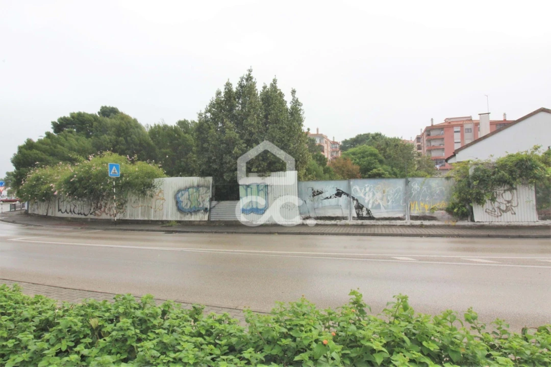 Terreno para Venda em Amora Foto 2