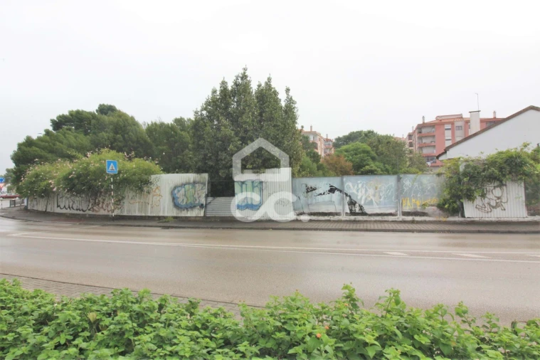 Terreno para Venda em Amora Foto 2