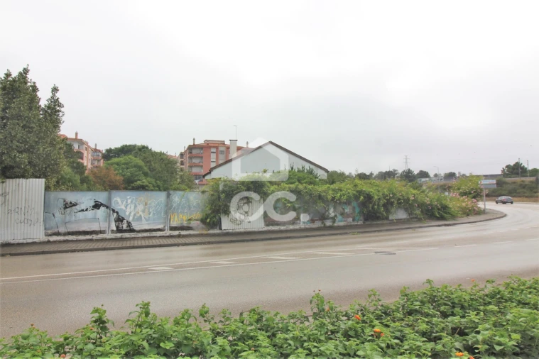 Terreno para Venda em Amora Foto 12