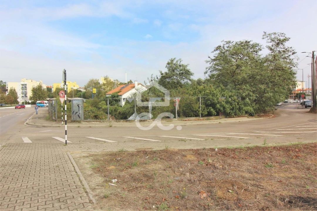 Terreno para Venda em Amora Foto 16