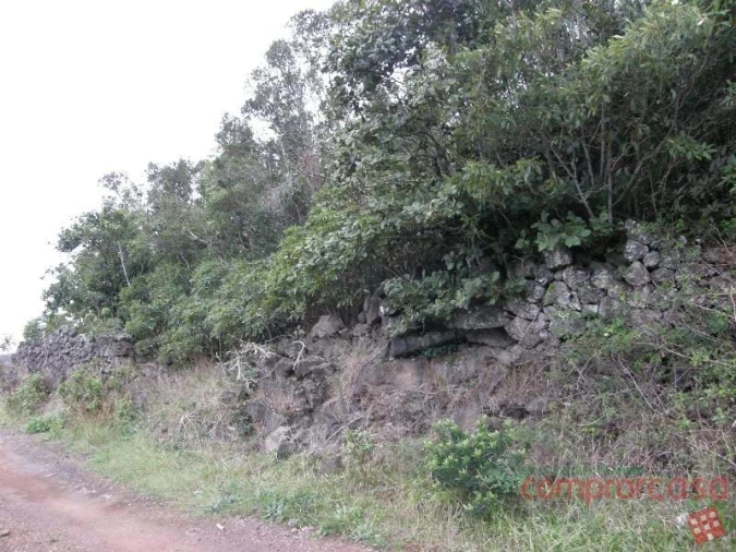 Terreno para Venda em Porto Martins Foto 3