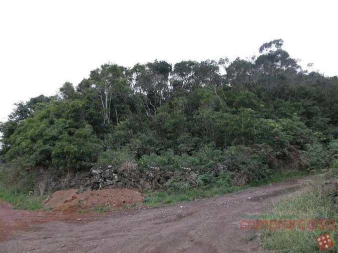 Terreno para Venda em Porto Martins