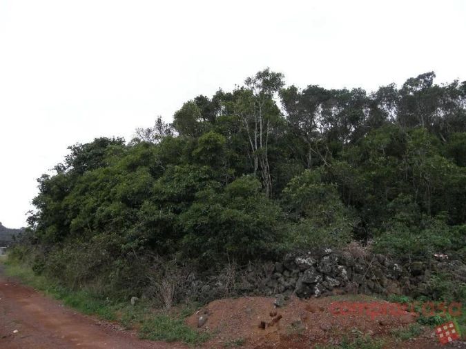 Terreno para Venda em Porto Martins Foto 2