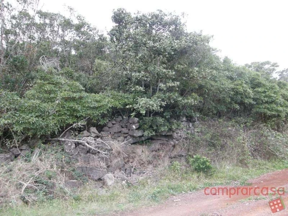 Terreno para Venda em Porto Martins Foto 5