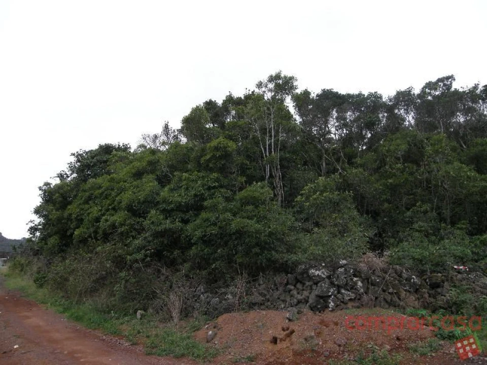 Terreno para Venda em Porto Martins Foto 2