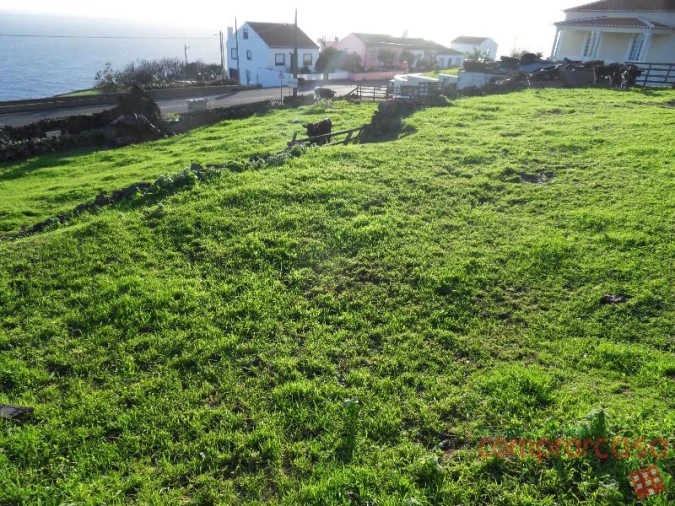 Terreno para Venda em Feteira Foto 4
