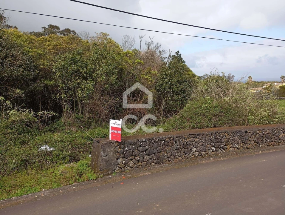 Terreno para Venda em Fonte do Bastardo Foto 11