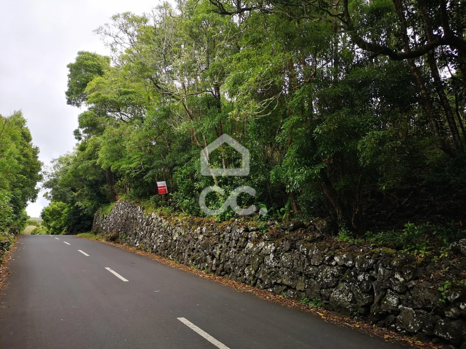 Terreno para Venda em São Mateus da Calheta Foto 2