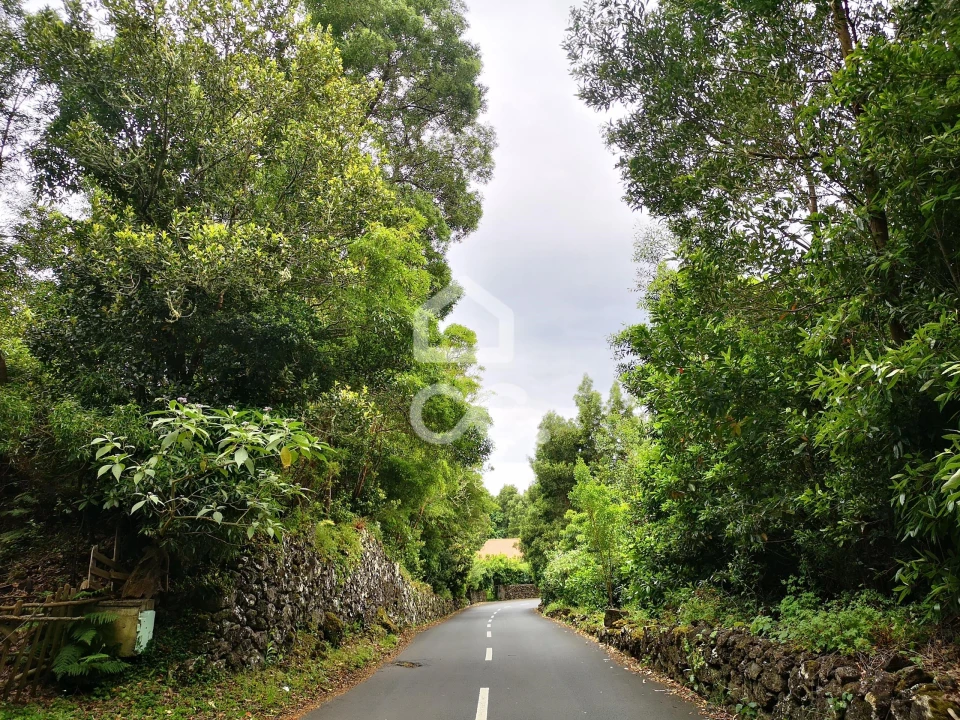 Terreno para Venda em São Mateus da Calheta Foto 5