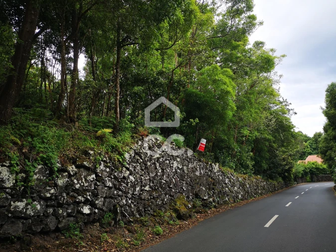 Terreno para Venda em São Mateus da Calheta Foto 4