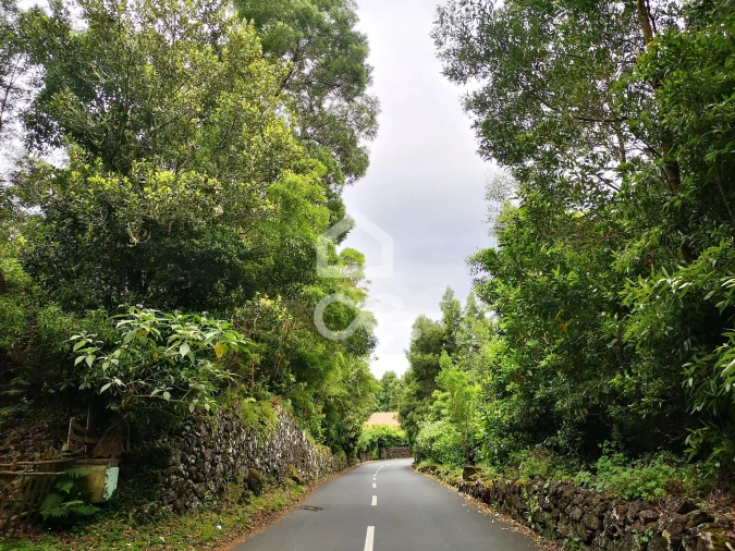 Terreno para Venda em São Mateus da Calheta Foto 5