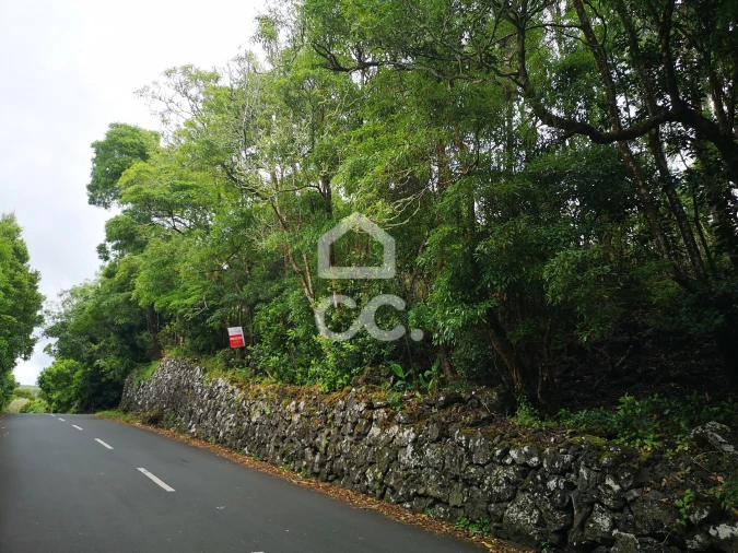 Terreno para Venda em São Mateus da Calheta Foto 1