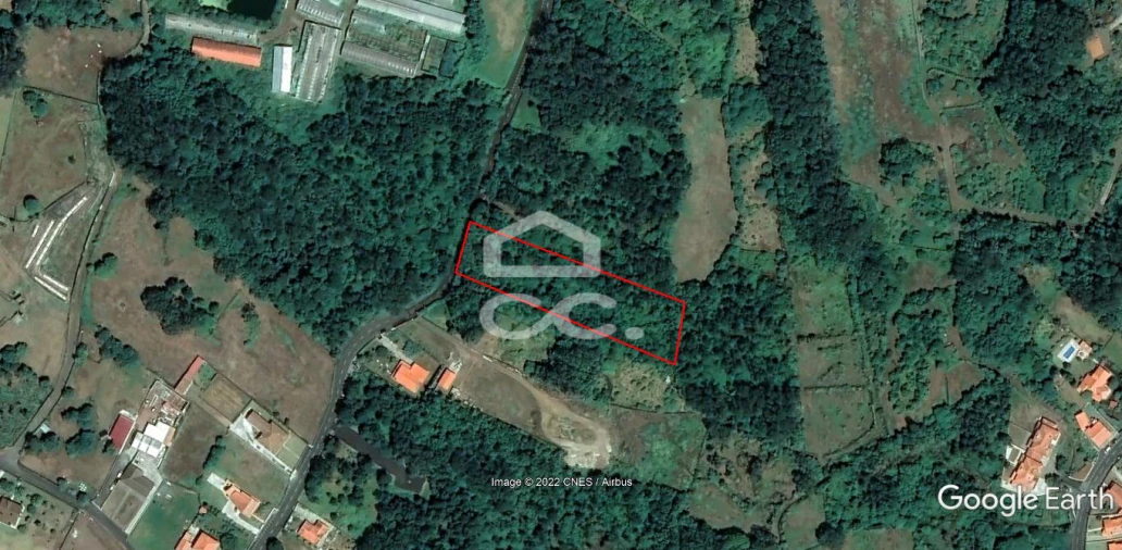 Terreno para Venda em São Mateus da Calheta Foto 6