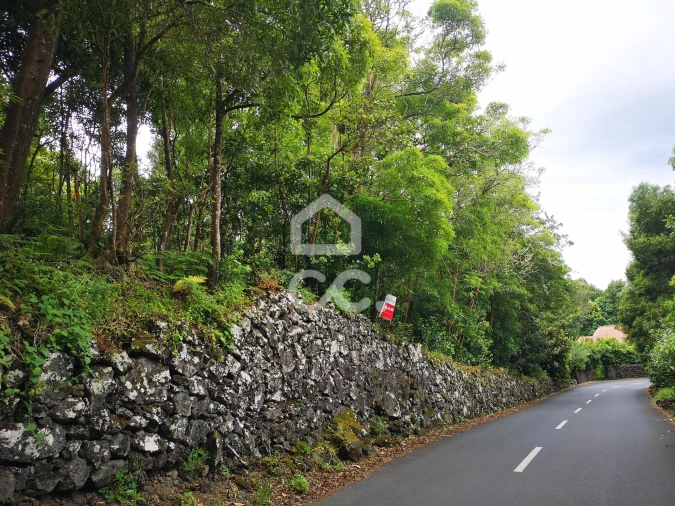 Terreno para Venda em São Mateus da Calheta Foto 3