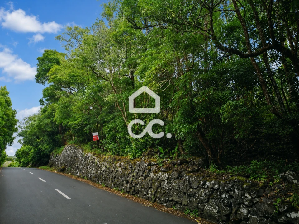 Terreno para Venda em São Mateus da Calheta Foto 1