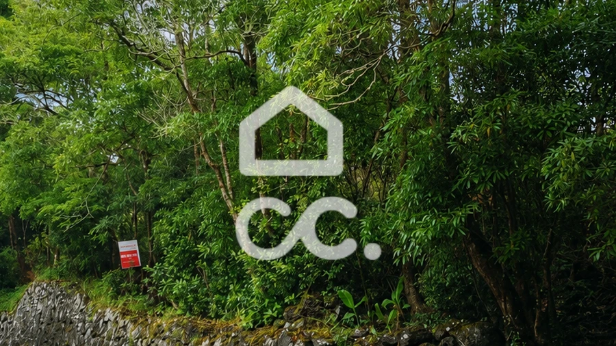 Terreno para Venda em São Mateus da Calheta