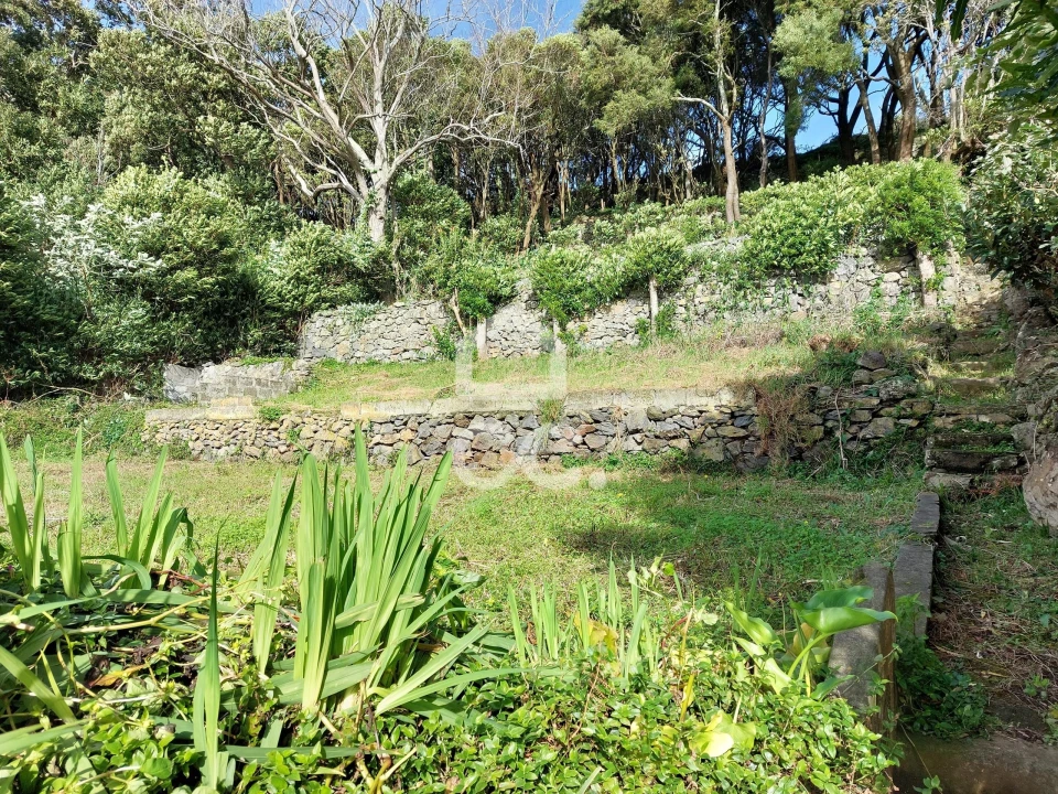 Moradia T3 para Venda em Praia da Vitoria (Santa Cruz) Foto 2