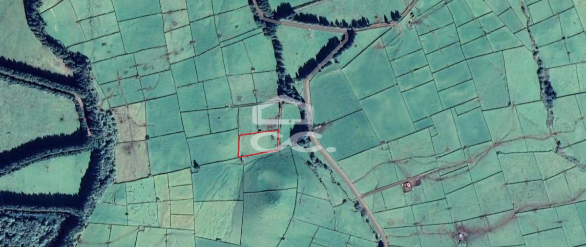 Terreno para Venda em Cinco Ribeiras Foto 1