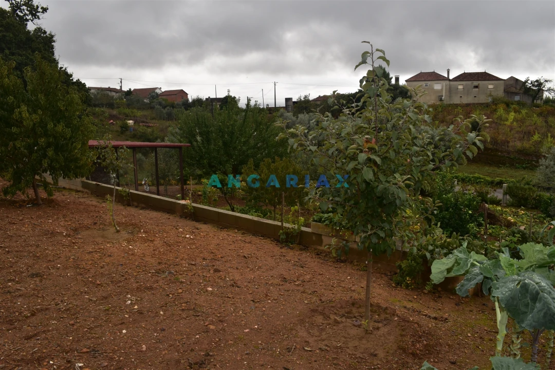 Moradia T5 para Venda em Graça Foto 24