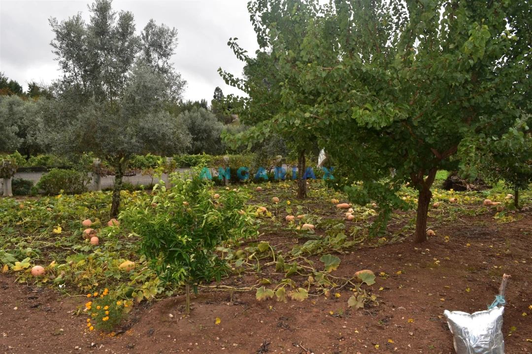 Moradia T5 para Venda em Graça Foto 30