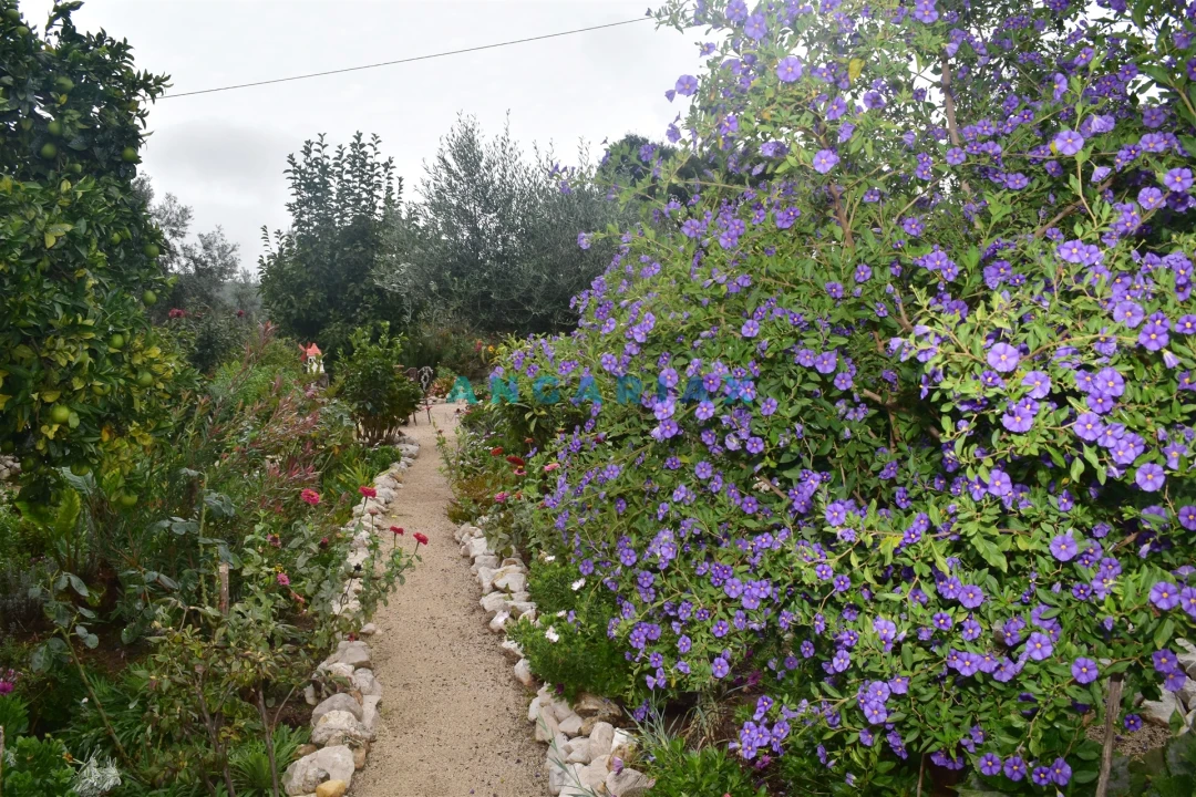 Moradia T5 para Venda em Graça Foto 8