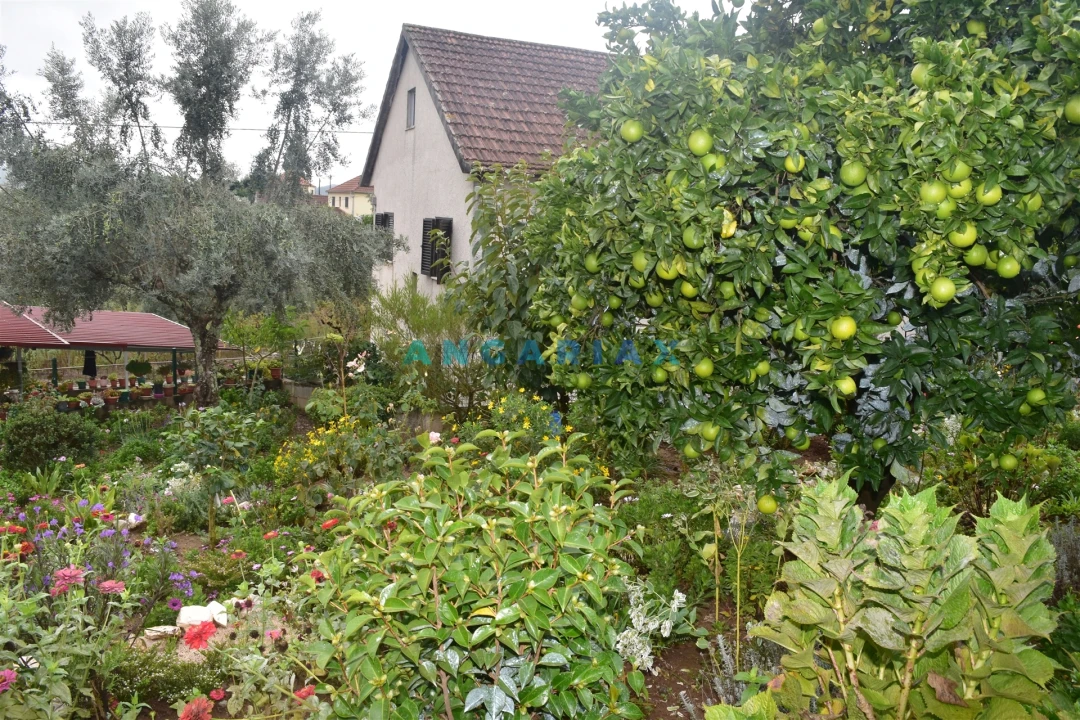 Moradia T5 para Venda em Graça Foto 7