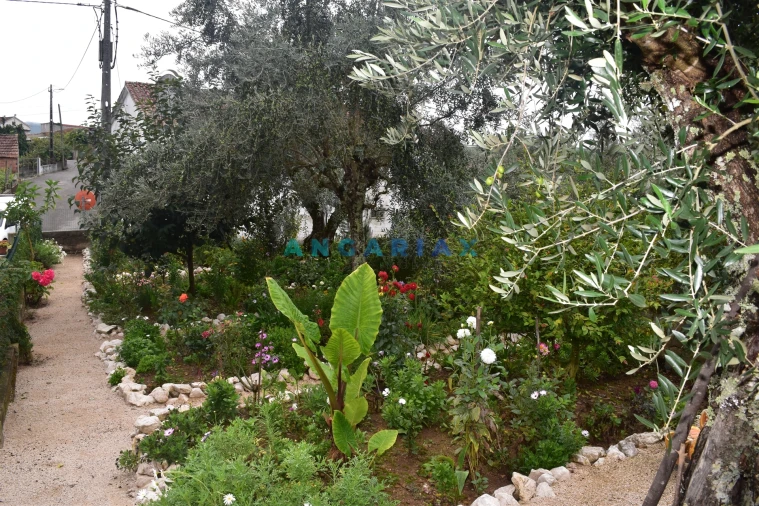 Moradia T5 para Venda em Graça Foto 14