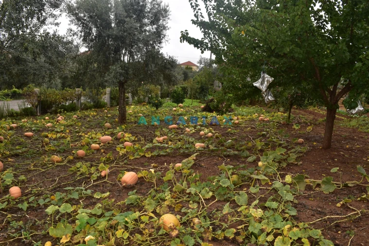 Moradia T5 para Venda em Graça Foto 31