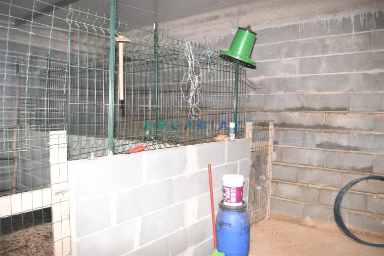 Moradia T5 para Venda em Graça Foto 34