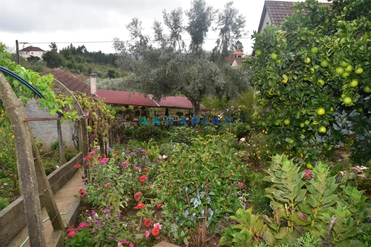 Moradia T5 para Venda em Graça Foto 17