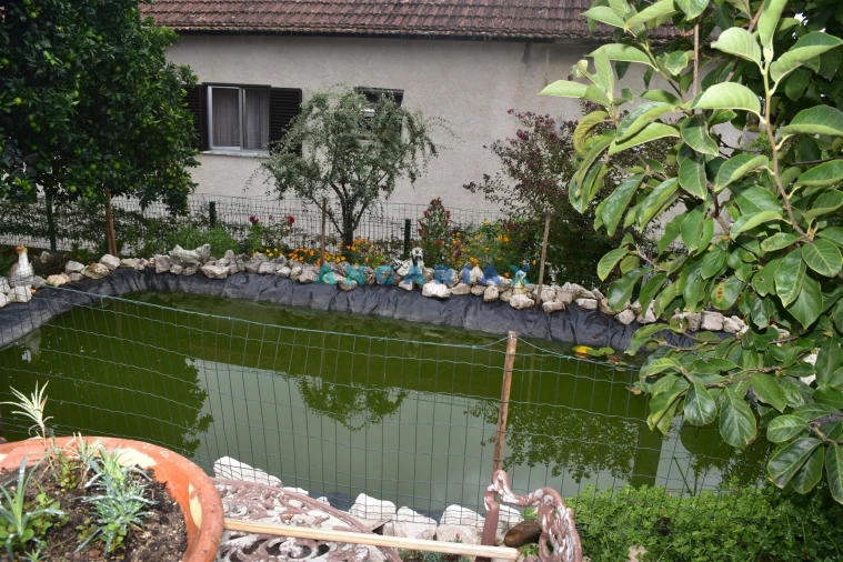 Moradia T5 para Venda em Graça Foto 11