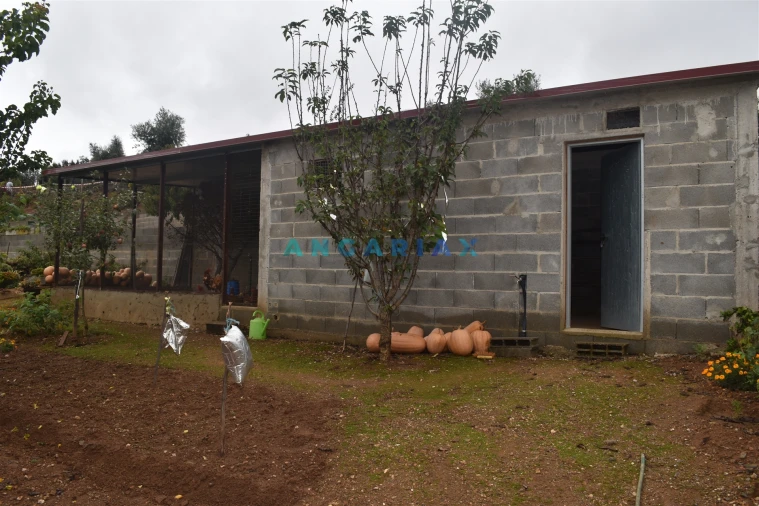 Moradia T5 para Venda em Graça Foto 32