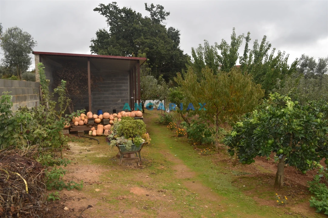 Moradia T5 para Venda em Graça Foto 27