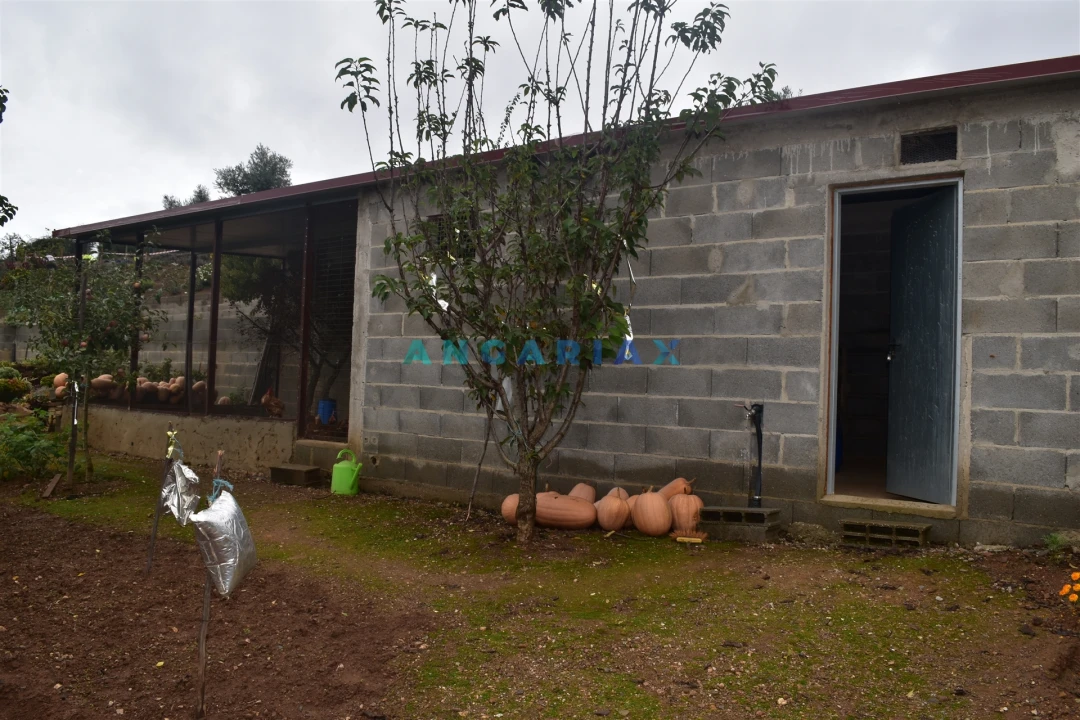 Moradia T5 para Venda em Graça Foto 33