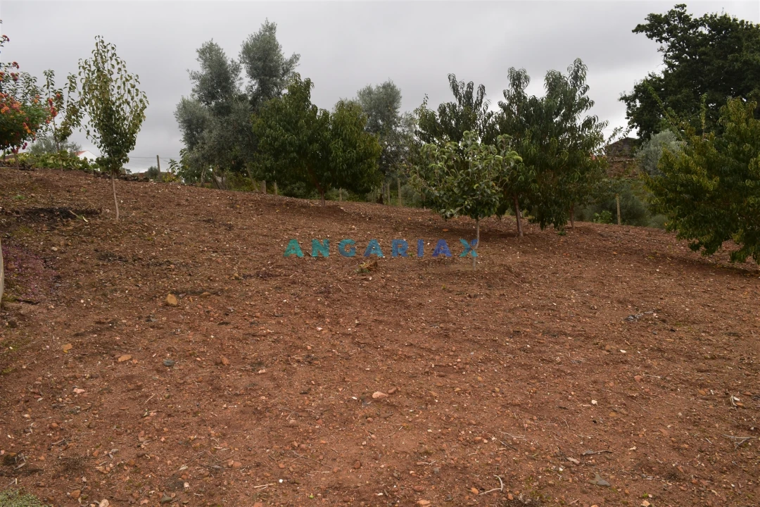 Moradia T5 para Venda em Graça Foto 23