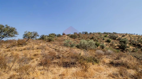 Terreno Agricola ou Rústico para Venda em Odeleite