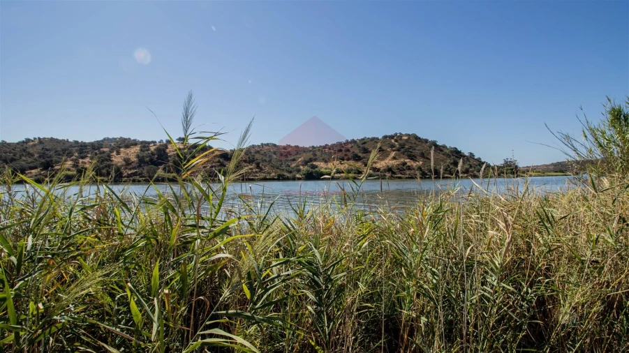 Terreno Agricola ou Rústico para Venda em Odeleite Foto 3