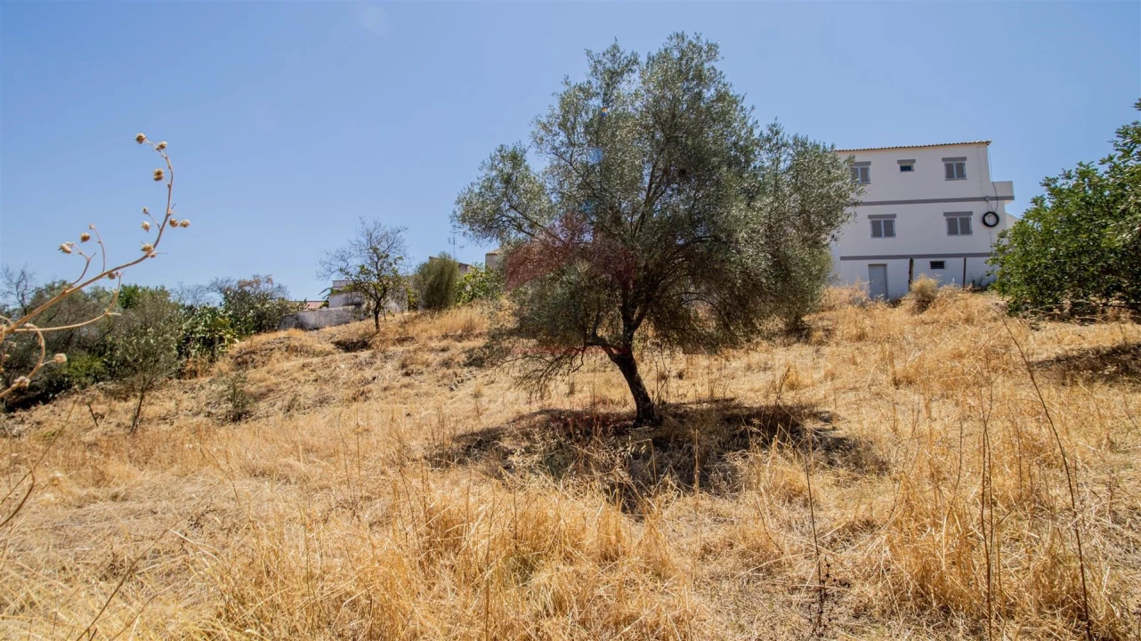Terreno Agricola ou Rústico para Venda em Odeleite Foto 5