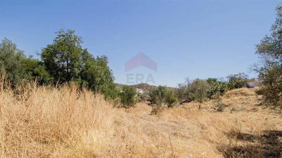 Terreno Agricola ou Rústico para Venda em Odeleite Foto 4