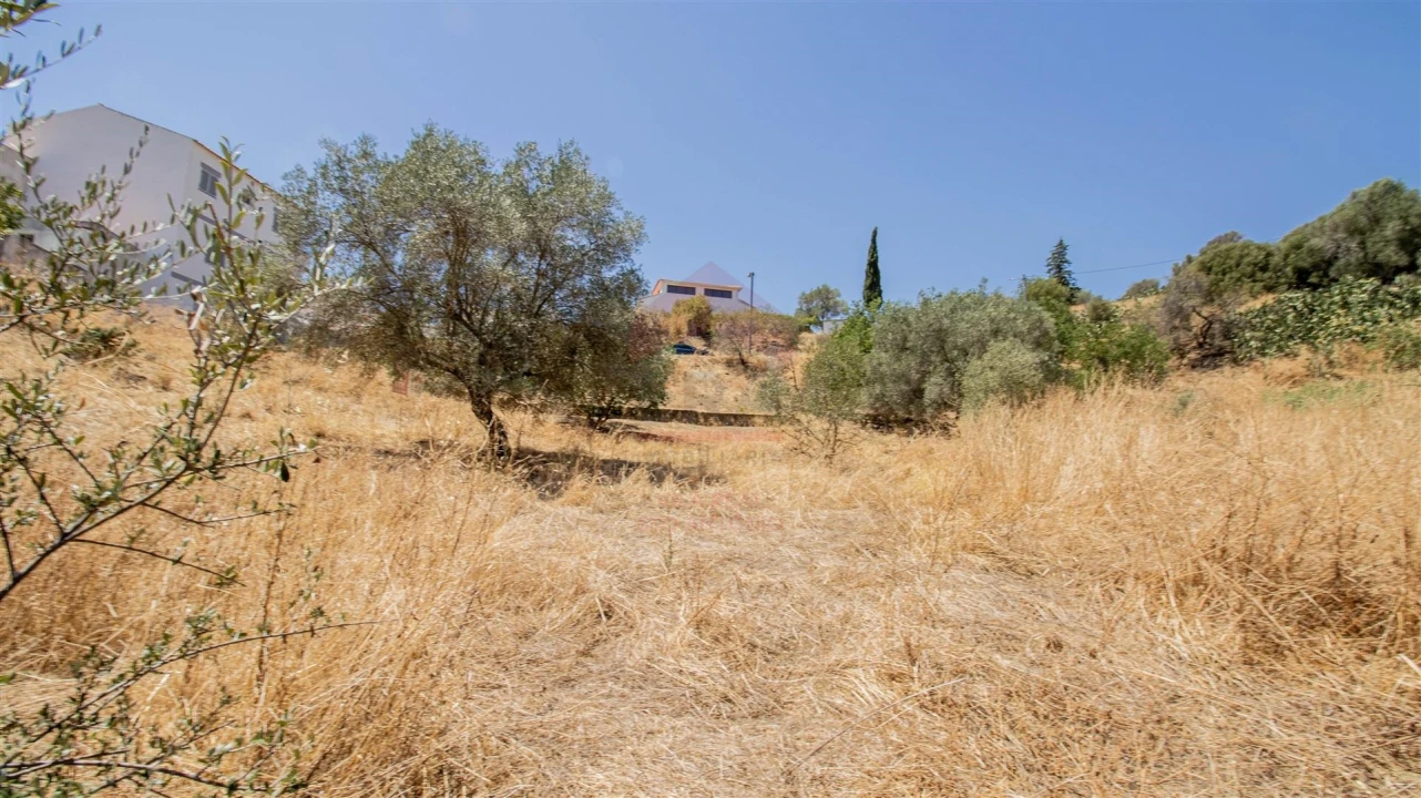 Terreno Agricola ou Rústico para Venda em Odeleite Foto 3