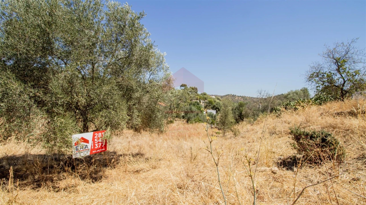 Terreno Agricola ou Rústico para Venda em Odeleite Foto 2