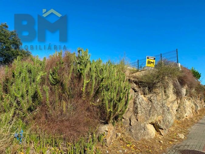 Terreno para Venda em Castelo Branco Foto 15