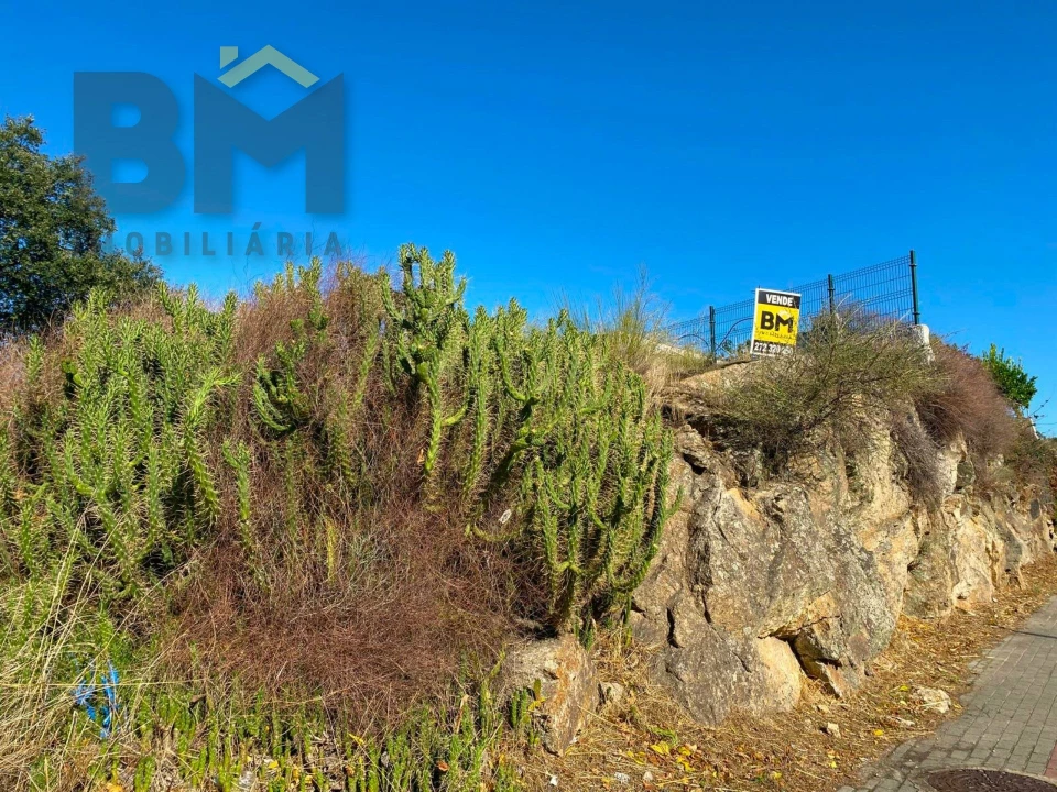 Terreno para Venda em Castelo Branco Foto 15
