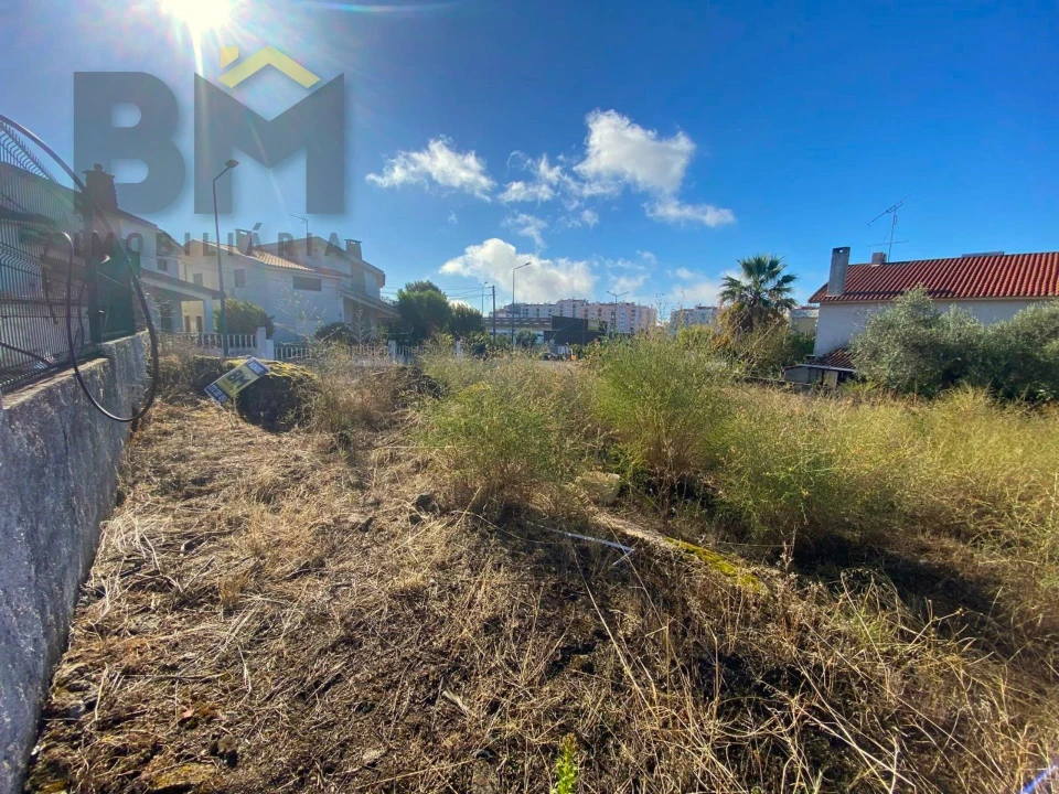 Terreno para Venda em Castelo Branco Foto 10
