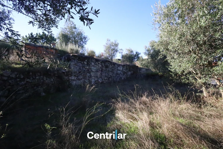 Moradia T0 para Venda em Infias Foto 11