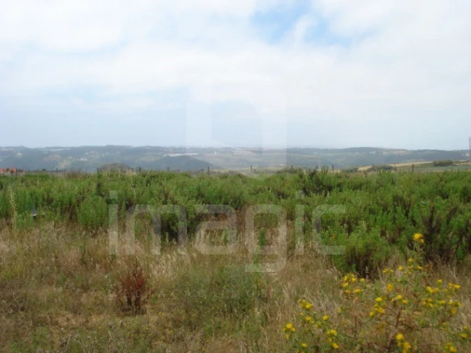 Terreno para Venda em Ericeira
